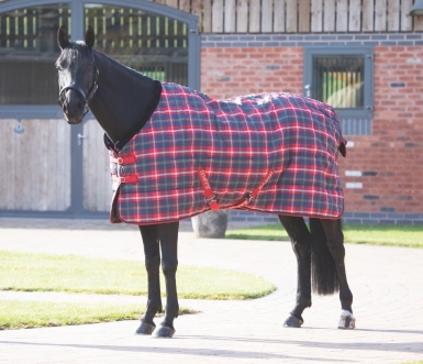 Shires Tempest Plus 200g Stable Rug (RRP Â£61.99)